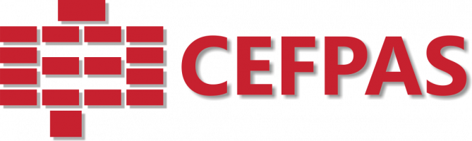 eLearning ICA.CEFPAS.IT